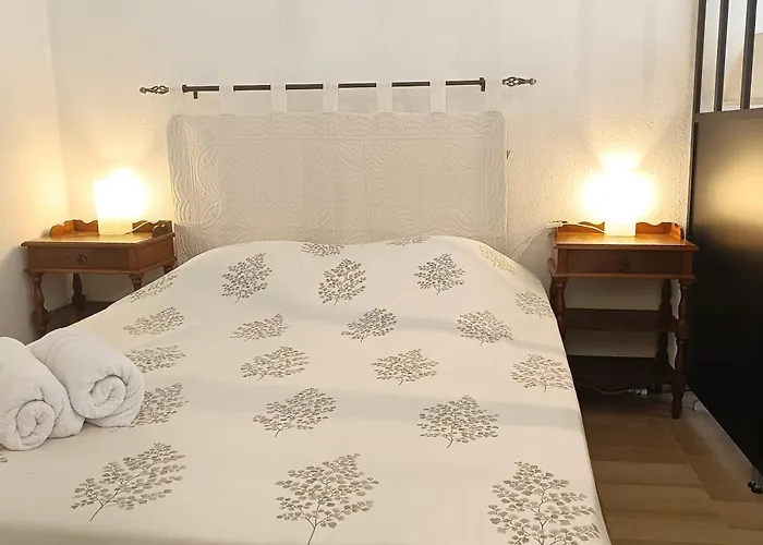 Confortable T2 Apartment